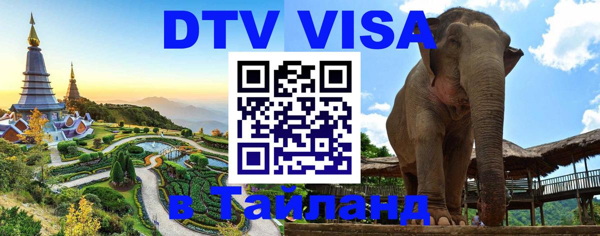 Сколько стоит DTV виза — актуальные цены, оформление даже без документов - Кострома 